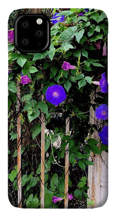 LA Neighbor - Phone Case
