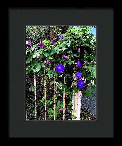 LA Neighbor - Framed Print