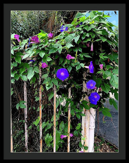 LA Neighbor - Framed Print