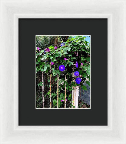 LA Neighbor - Framed Print