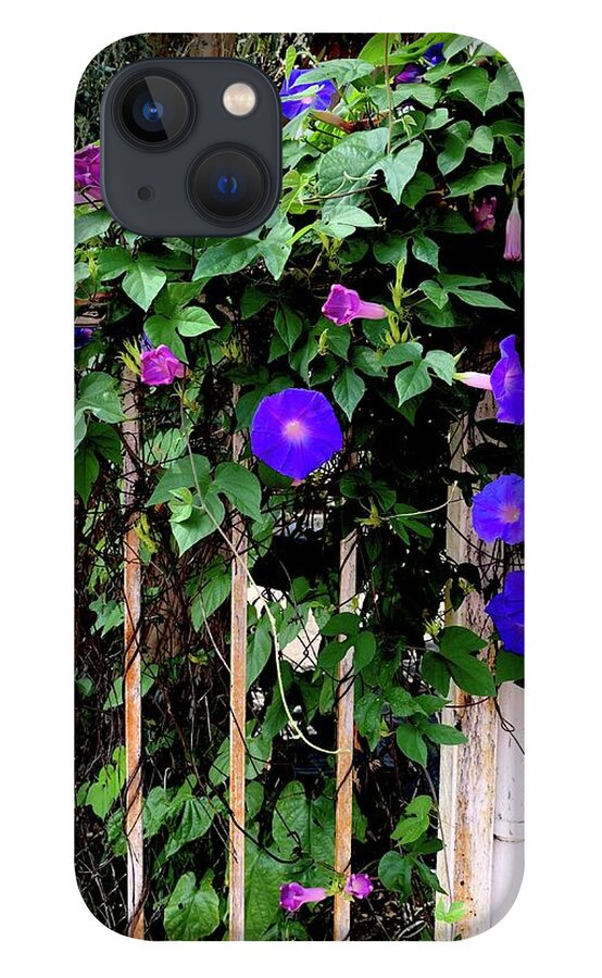 LA Neighbor - Phone Case