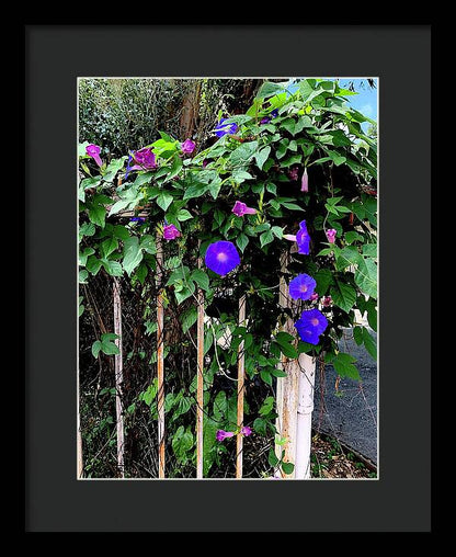LA Neighbor - Framed Print