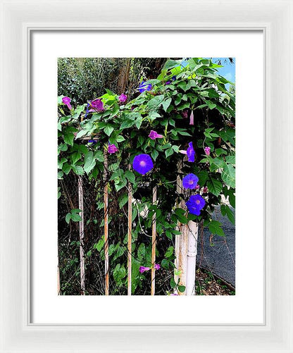 LA Neighbor - Framed Print
