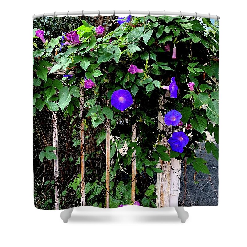 LA Neighbor - Shower Curtain