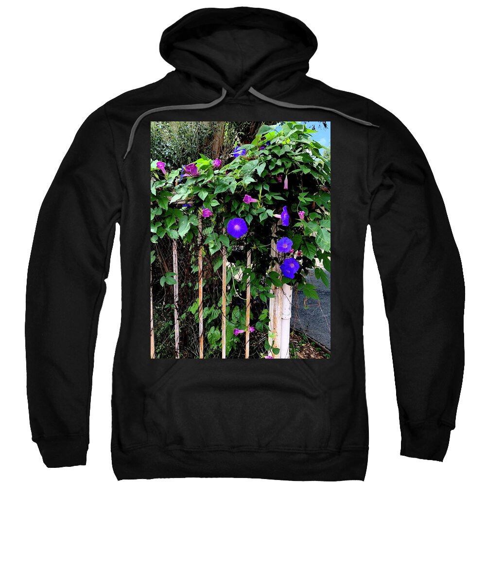 LA Neighbor - Sweatshirt