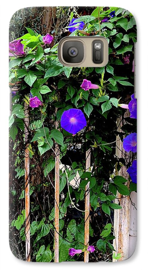 LA Neighbor - Phone Case
