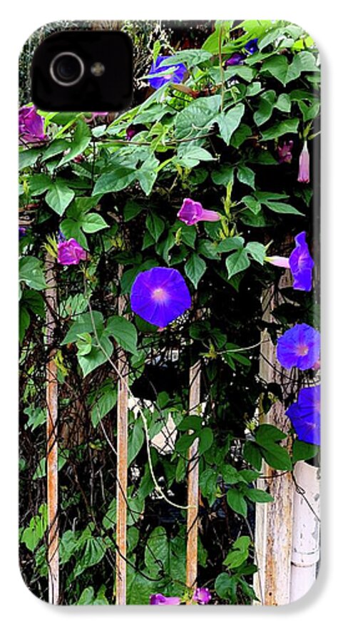 LA Neighbor - Phone Case