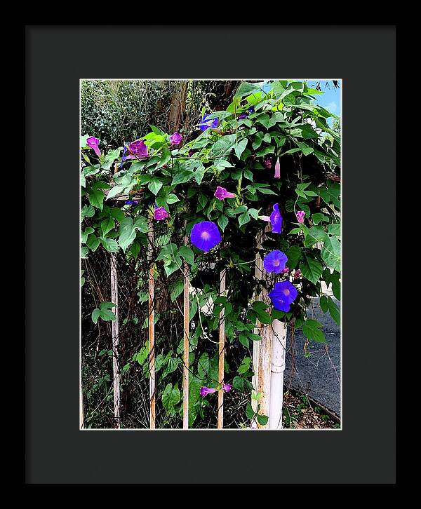 LA Neighbor - Framed Print