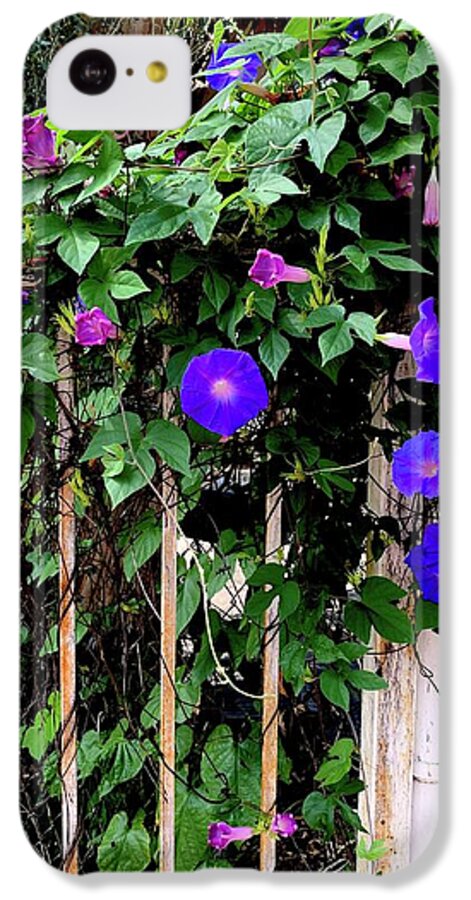 LA Neighbor - Phone Case