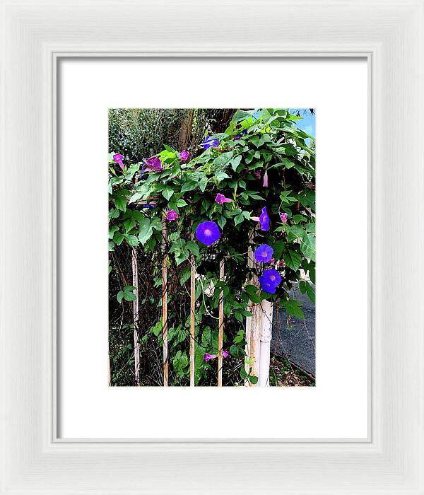 LA Neighbor - Framed Print