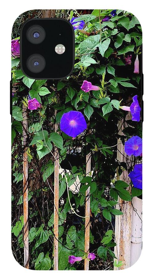 LA Neighbor - Phone Case