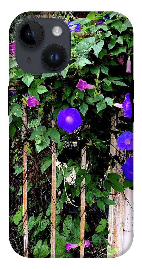 LA Neighbor - Phone Case