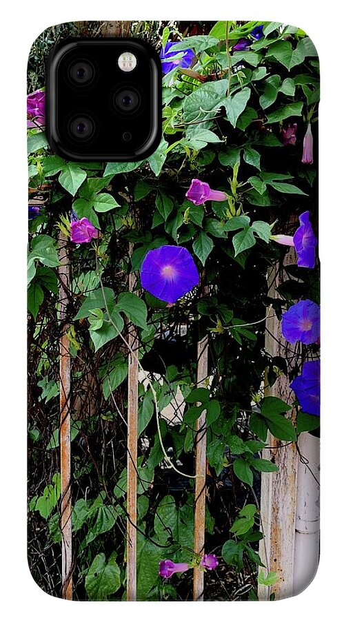 LA Neighbor - Phone Case