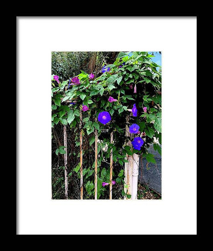 LA Neighbor - Framed Print