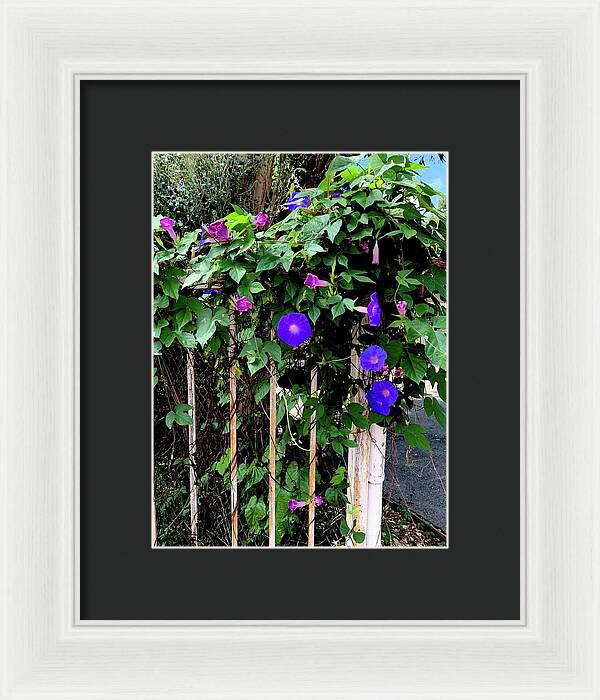 LA Neighbor - Framed Print