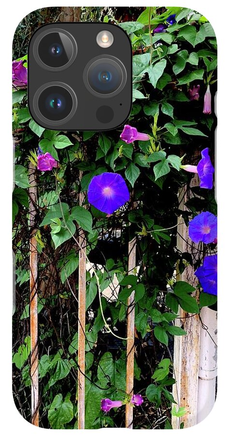 LA Neighbor - Phone Case