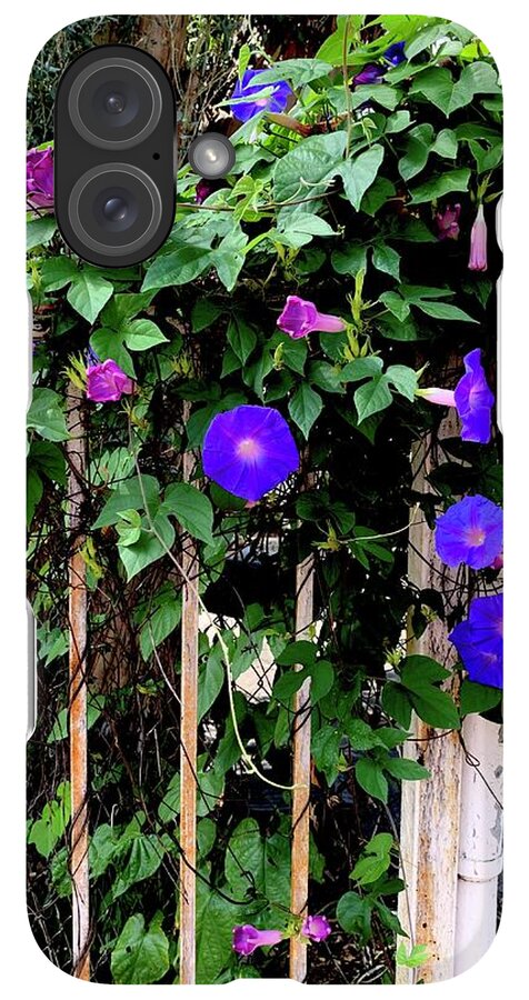 LA Neighbor - Phone Case