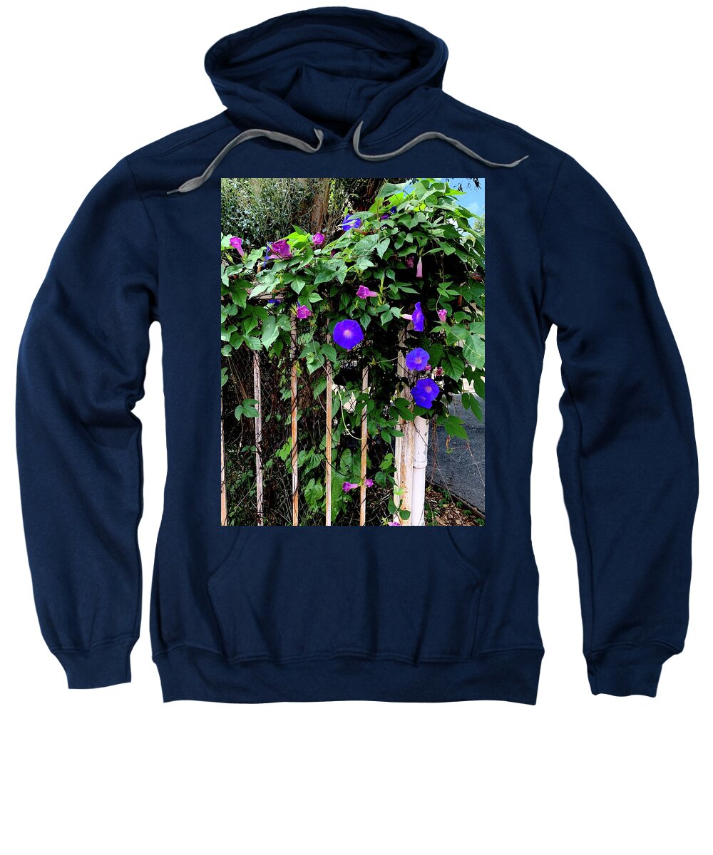 LA Neighbor - Sweatshirt