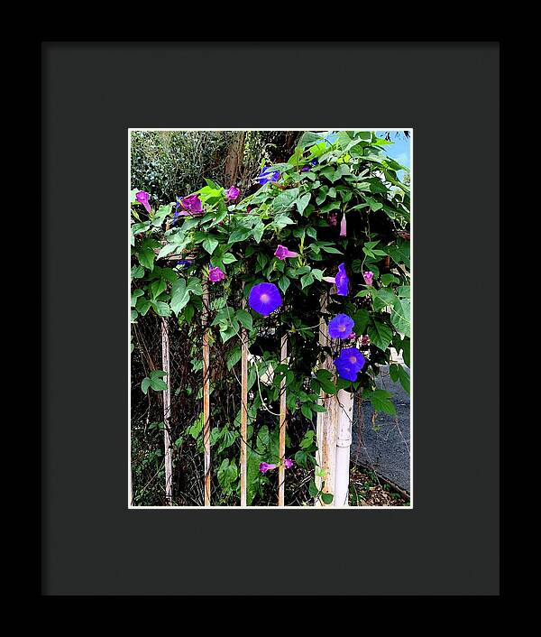 LA Neighbor - Framed Print