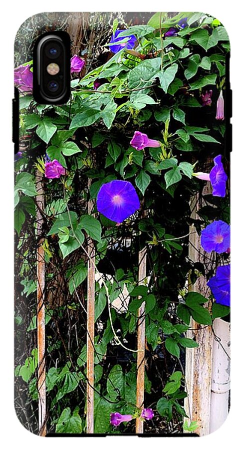 LA Neighbor - Phone Case