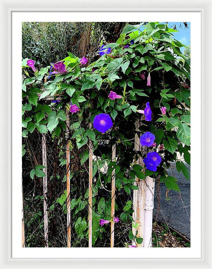 LA Neighbor - Framed Print