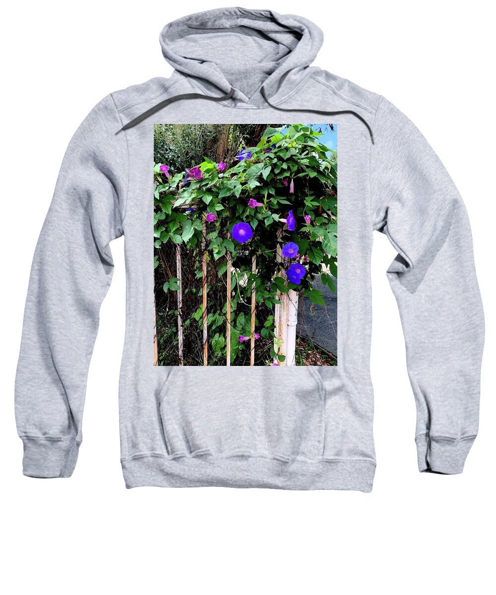 LA Neighbor - Sweatshirt