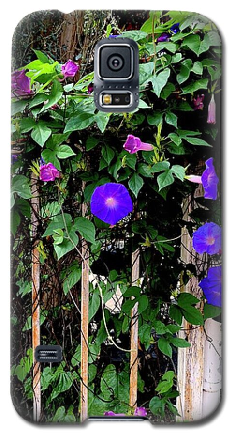 LA Neighbor - Phone Case