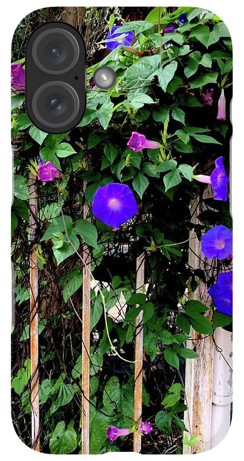 LA Neighbor - Phone Case