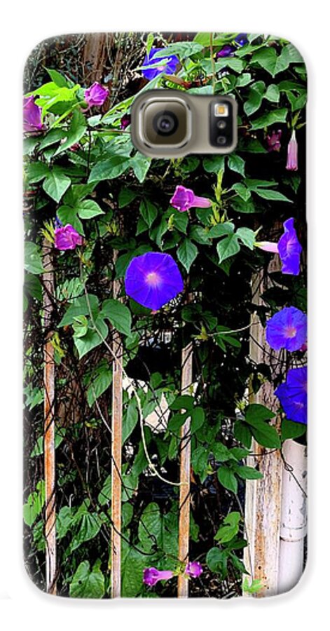 LA Neighbor - Phone Case