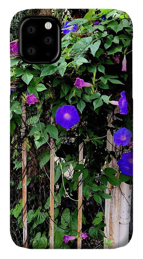LA Neighbor - Phone Case
