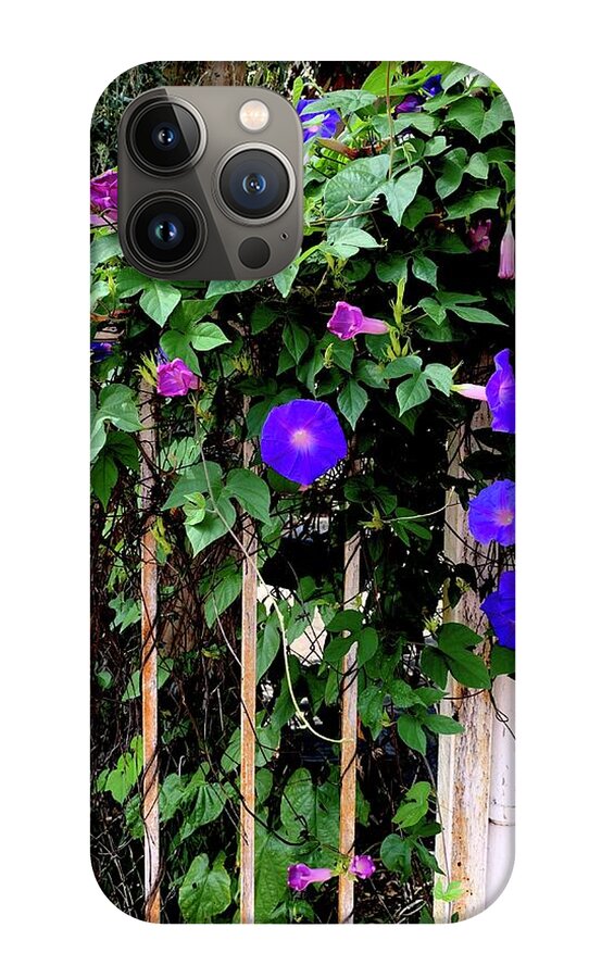 LA Neighbor - Phone Case