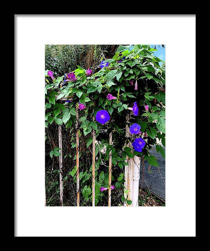 LA Neighbor - Framed Print
