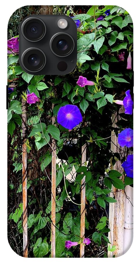 LA Neighbor - Phone Case