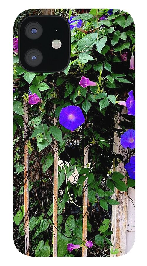 LA Neighbor - Phone Case