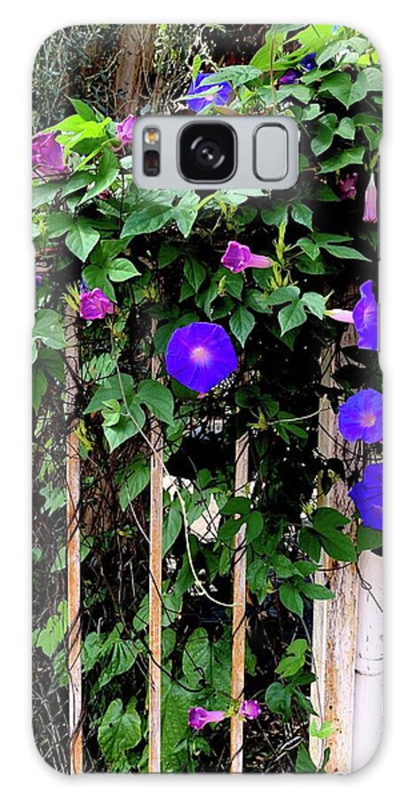 LA Neighbor - Phone Case