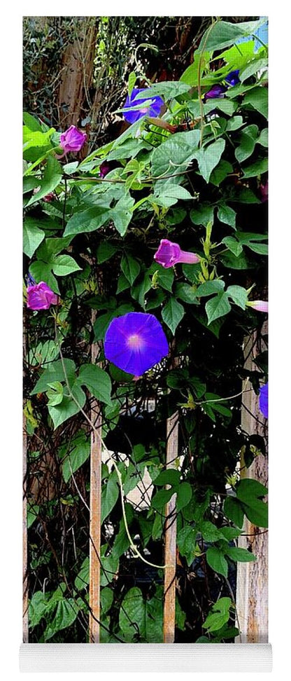 LA Neighbor - Yoga Mat