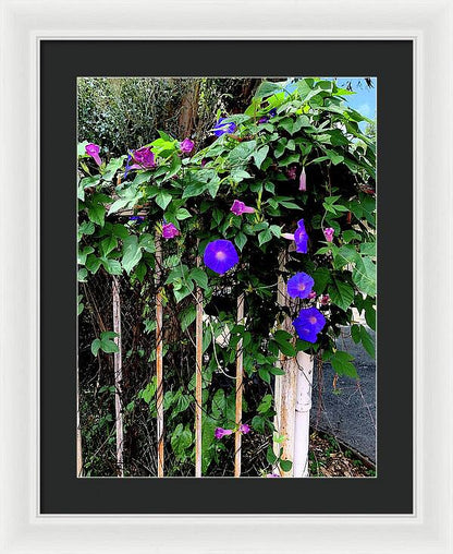 LA Neighbor - Framed Print