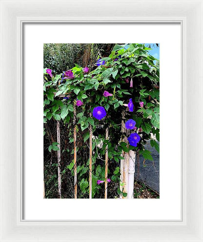 LA Neighbor - Framed Print