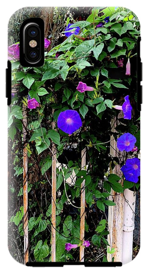 LA Neighbor - Phone Case