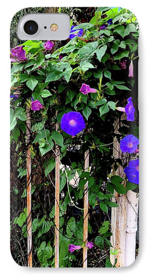LA Neighbor - Phone Case