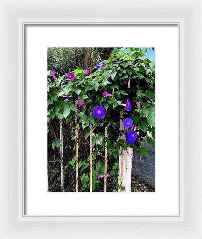 LA Neighbor - Framed Print