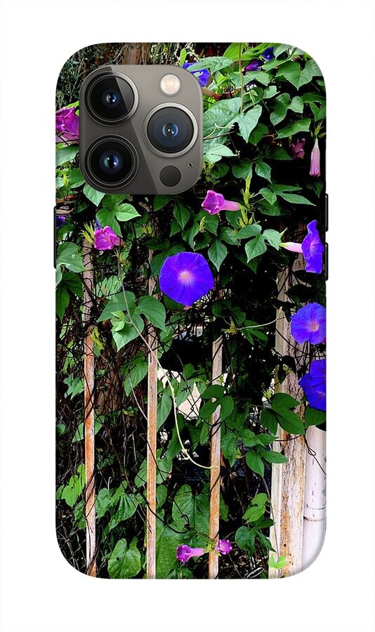 LA Neighbor - Phone Case