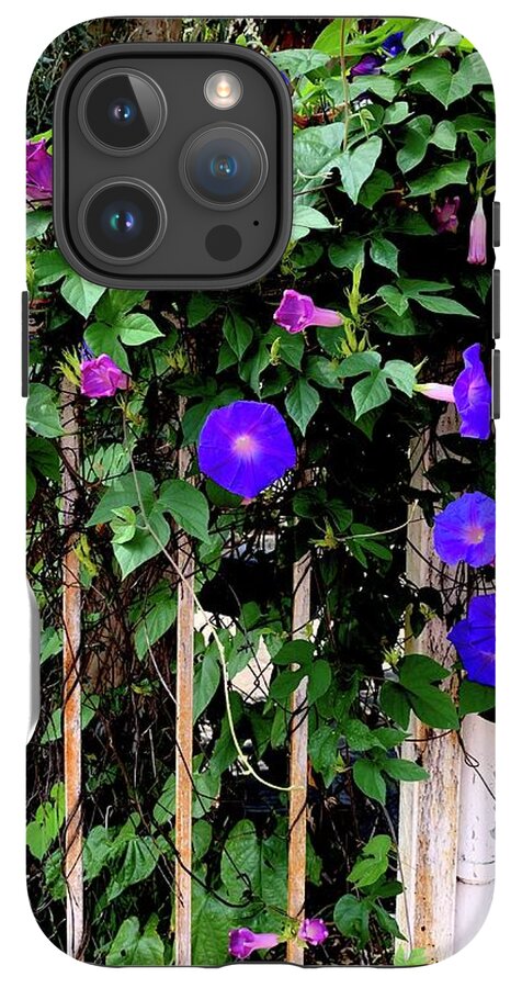 LA Neighbor - Phone Case