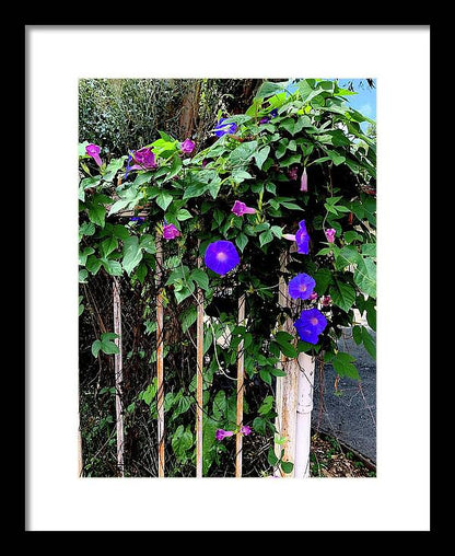 LA Neighbor - Framed Print