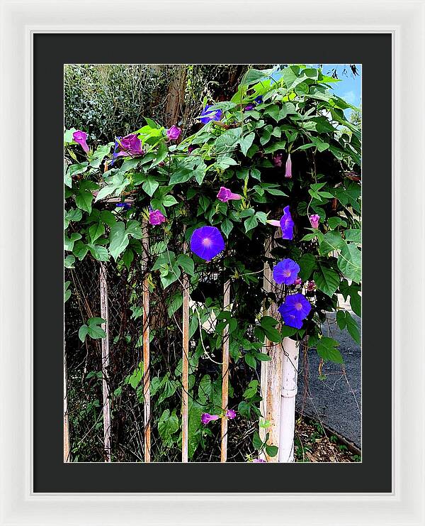 LA Neighbor - Framed Print