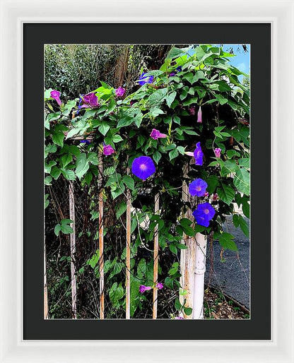 LA Neighbor - Framed Print