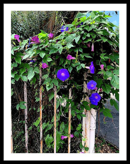 LA Neighbor - Framed Print
