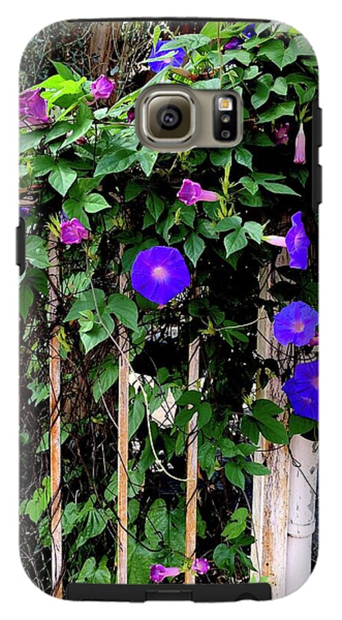 LA Neighbor - Phone Case