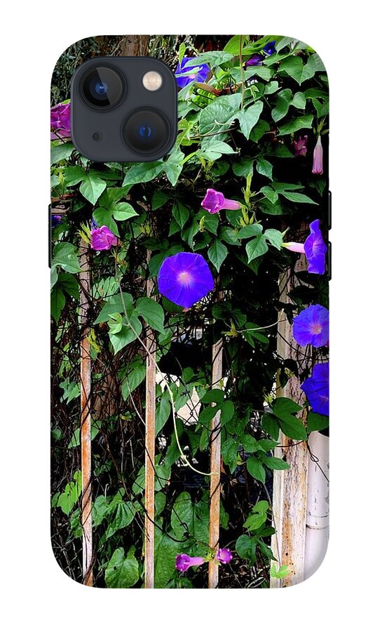 LA Neighbor - Phone Case