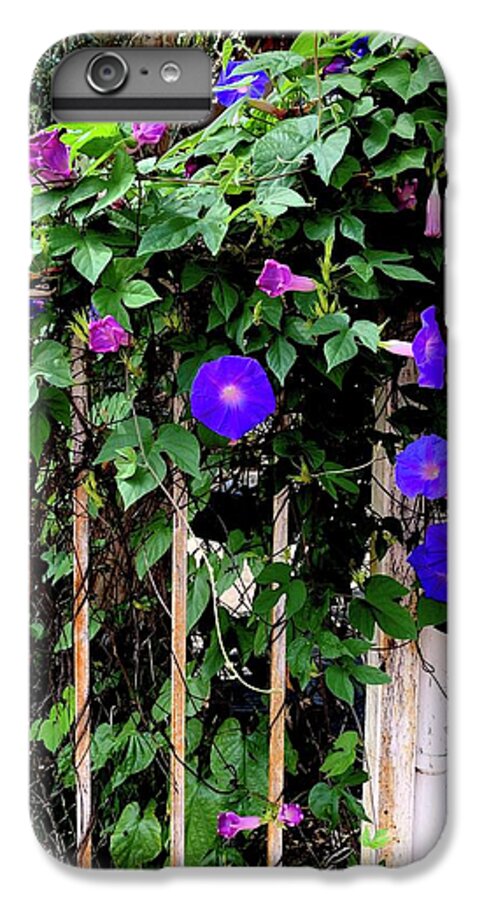 LA Neighbor - Phone Case